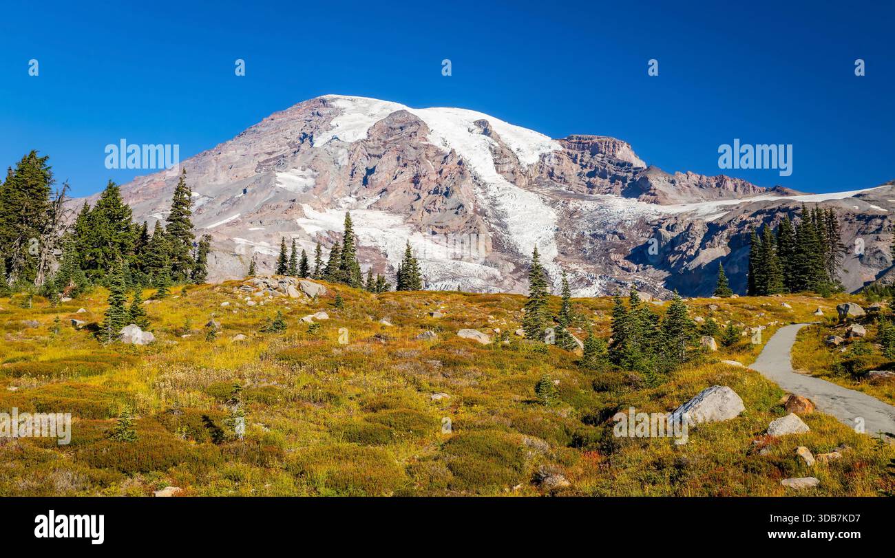 Ein Blick aus nächster Nähe auf den majestätischen Mount Rainier an einem klaren Sommertag, vom legendären Skyline Trail im Mount Rainier National Park aus gesehen Stockfoto