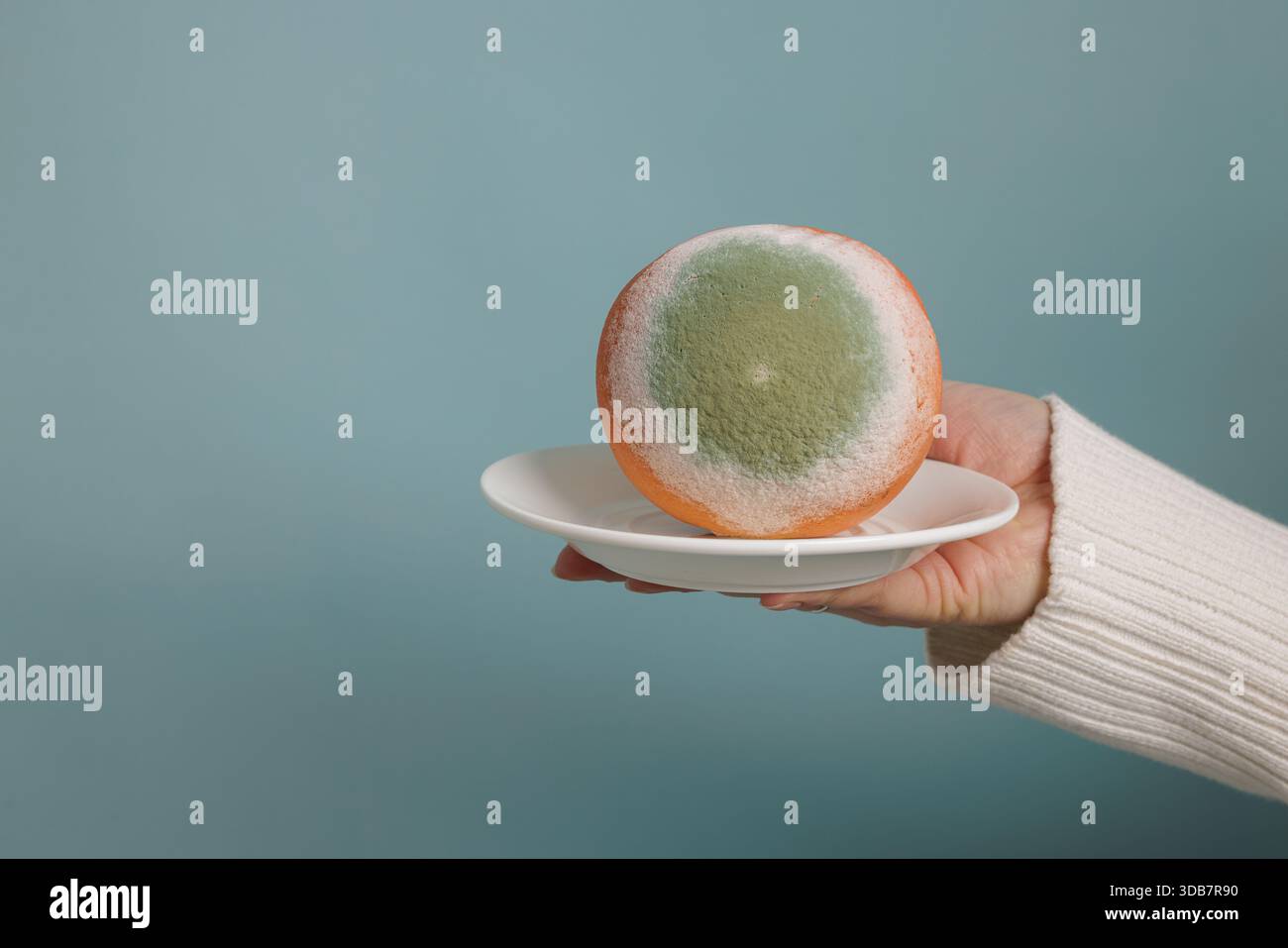 Extreme Nahaufnahme einer schimmeligen Orange, die mit grünem und weißem Pilz bedeckt ist, die den Lebensmittelverderb und die Zersetzung im Detail zeigt Stockfoto