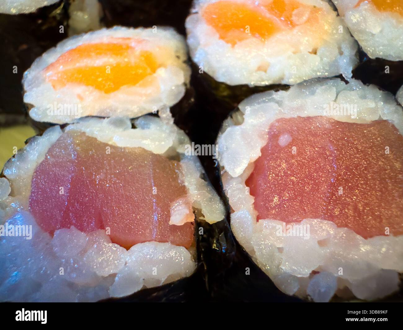 Frisch zubereitete Maki-Sushi-Brötchen mit Thunfisch, Lachs, Reis und Algen Stockfoto