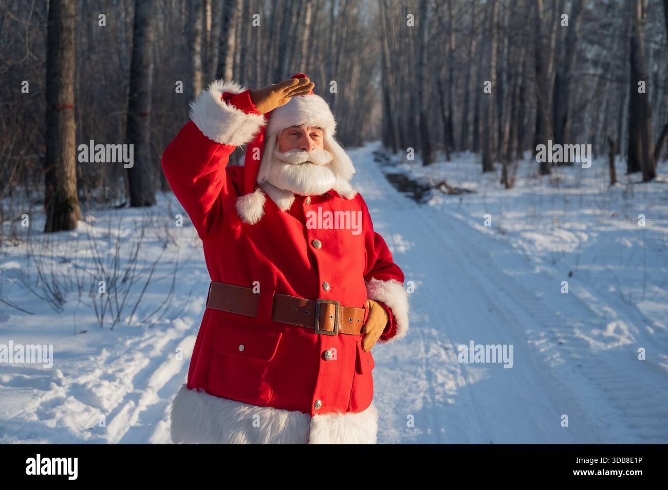 Der Weihnachtsmann spaziert durch den Winterwald. Stockfoto