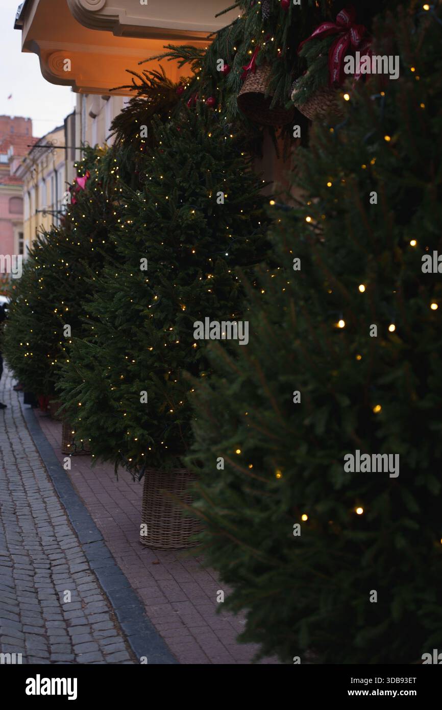 Festliche weihnachtliche Straßenszene mit beleuchteten Kiefern und hängenden Kränzen, die eine malerische Gebäudefassade auf einem Kopfsteinpflasterweg in der Abenddämmerung, twi, schmücken Stockfoto