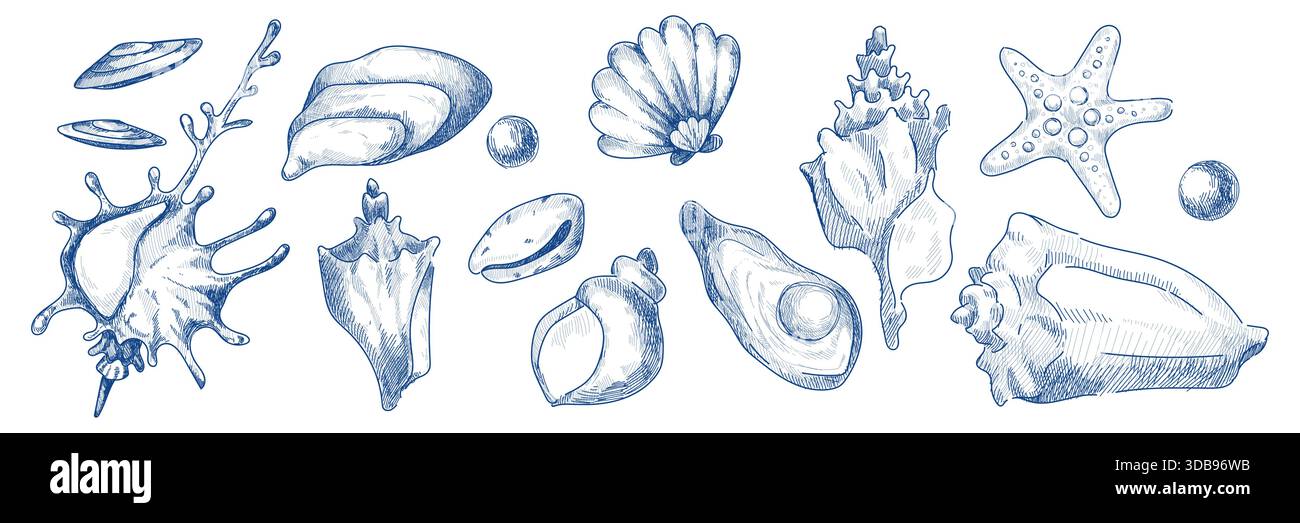 Vintage-Muschelskizze mit handgezeichneten Ikonen im Meer. Marine Shell Kollektion mit Seesternen, Jakobsmuscheln und Muscheln im Retro-Stil. Blaue nautische Illustration für Strandmotive und Branding. Stock Vektor