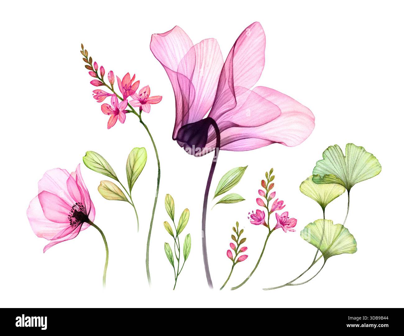 Aquarellset aus transparenten Azaleen-Blüten, rosa Rose, Ginkgo-Blättern. Farbenfrohe tropische Kollektion auf weiß. Botanische Blumenillustration Stockfoto