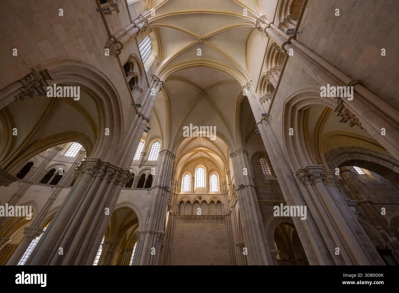 Basilika von Sainte Marie Madeleine zeigt ihre romanische Architektur mit wunderschönen Rippengewölben Stockfoto