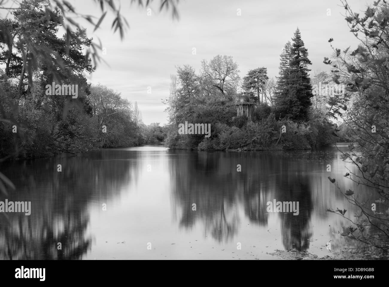 Schwarzweiß-Kunstfoto des ruhigen Boulogne-Sees mit perfekten Bäumen, minimalistischer kontemplativer Naturszene Stockfoto