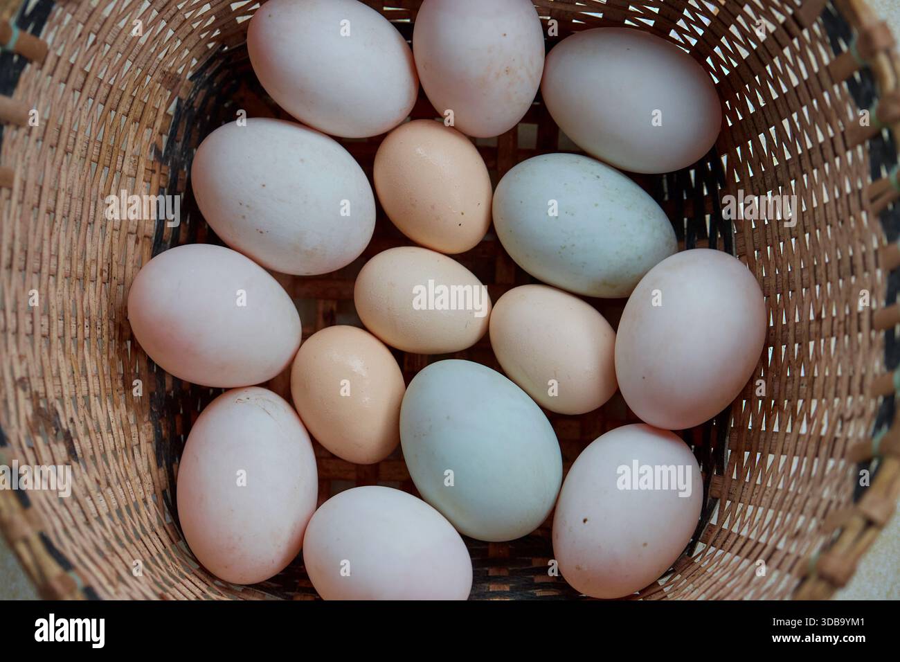 Direkt über dem Schuss von Eiern in gewebtem Bambuskorb Stockfoto