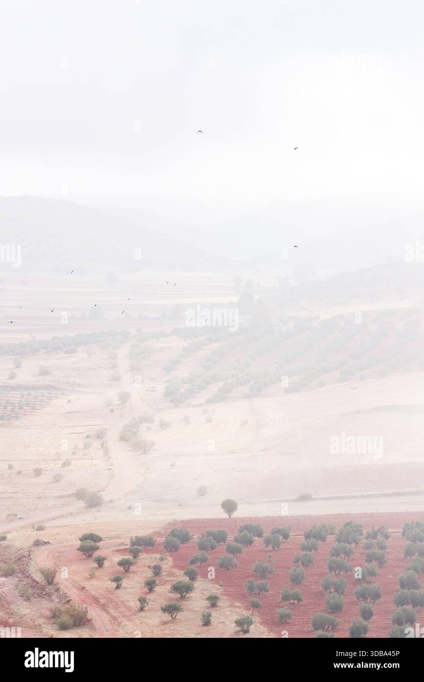 Eine riesige, vertikale Landschaft des Alhambra-Tals in Ciudad Real, dominiert von diffusem Licht und hellem Nebel. Stockfoto