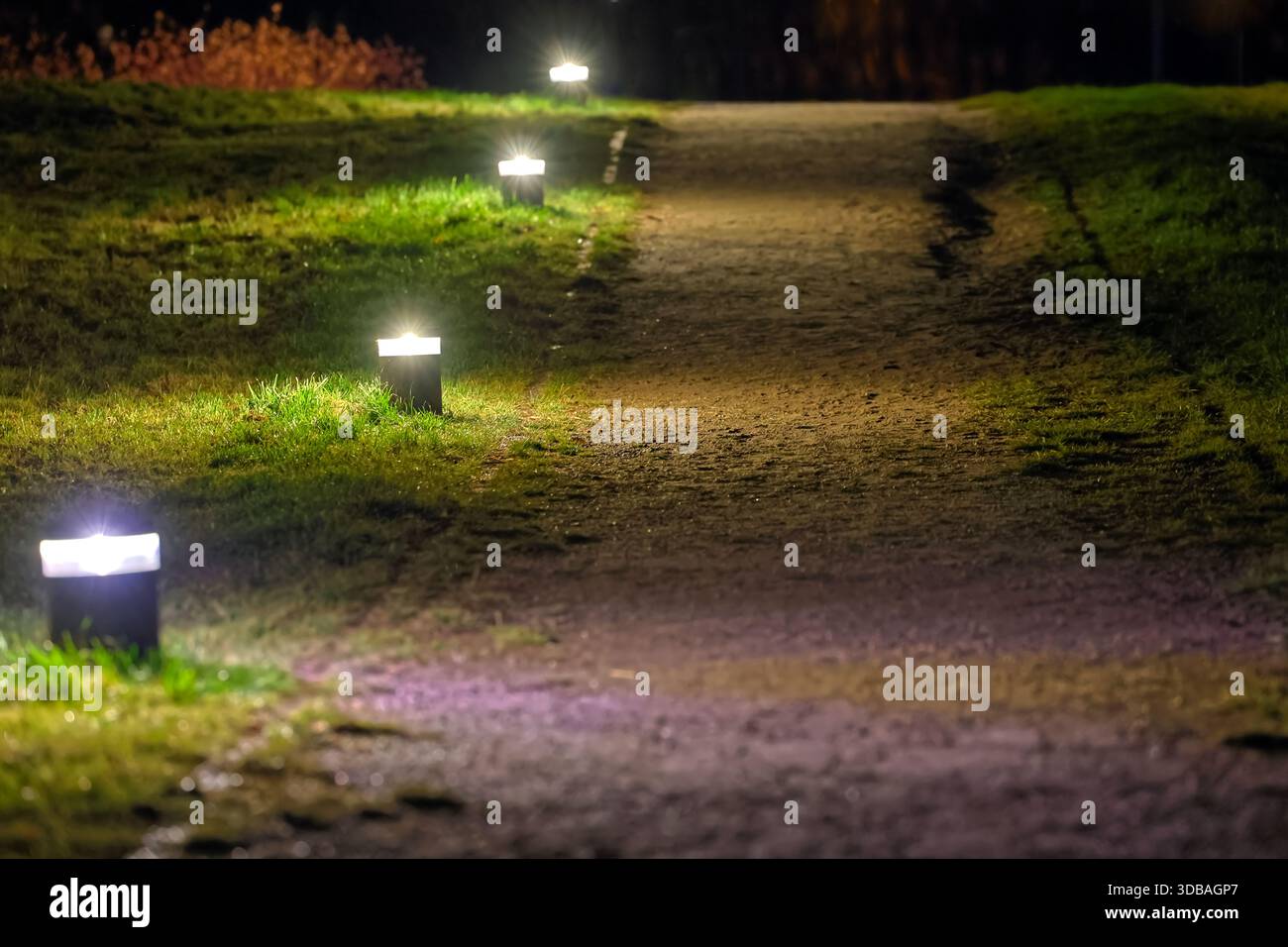 Weg beleuchtet von modernen Gartenlichtern bei Nacht Stockfoto