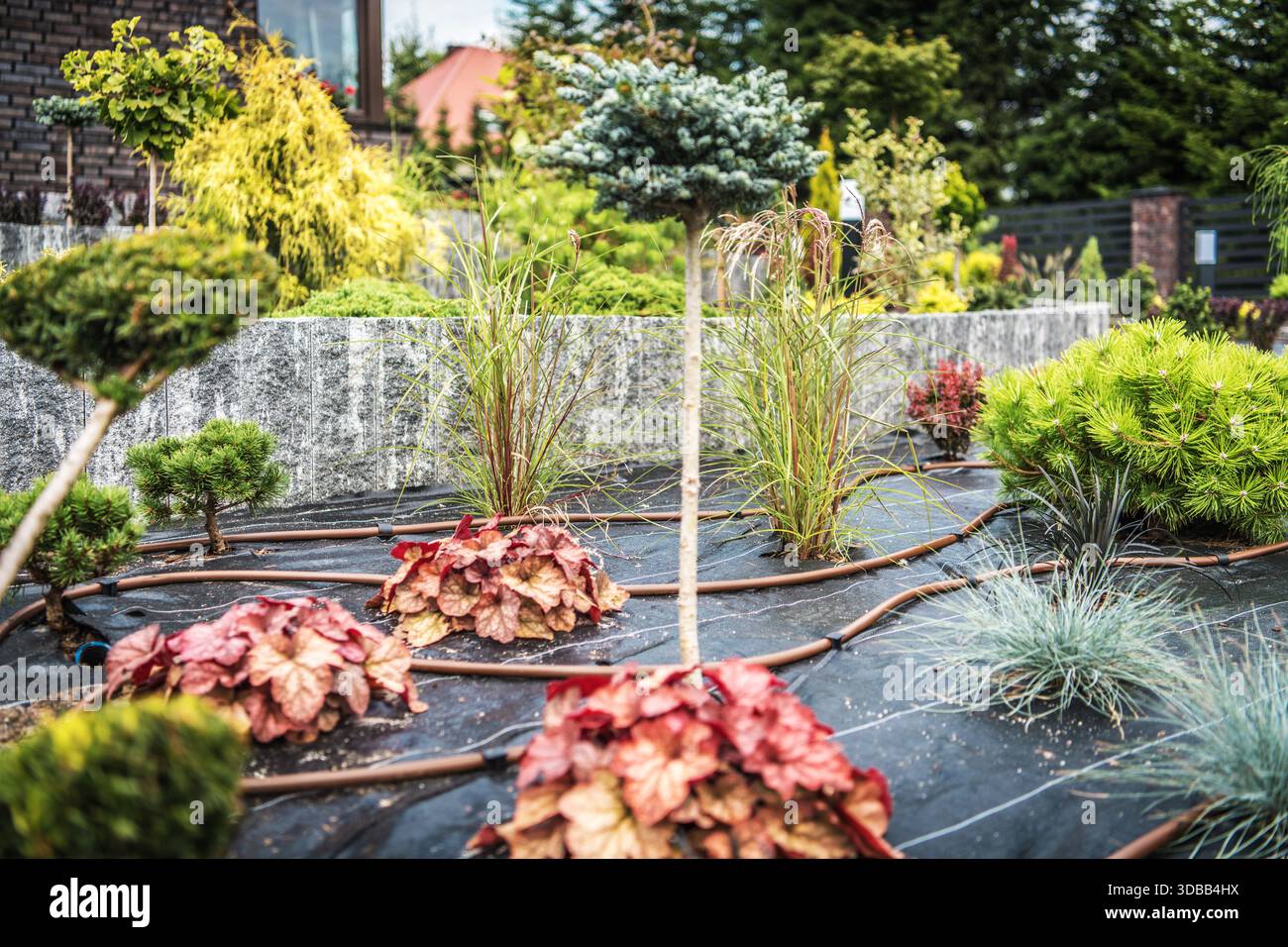 Dieser Garten hat verschiedene Pflanzen, die in ordentlichen Reihen und Betten angeordnet sind. Mit Bewässerungssystem ausgestattet. Stockfoto