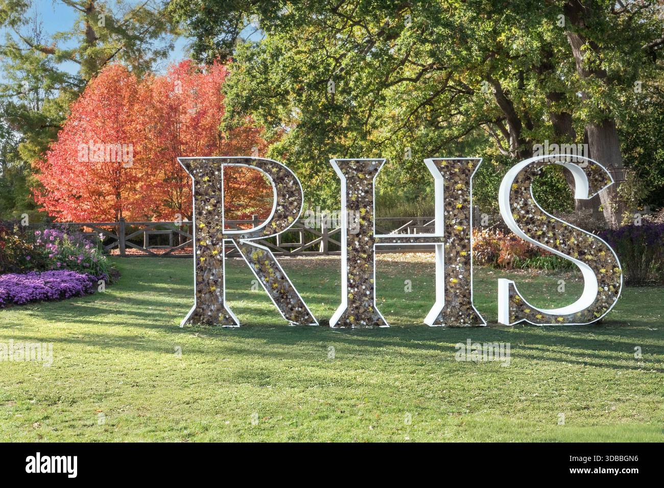 RHS Wisley Gardens Sculpture Schild BUCHSTABEN „RHS“ mit eingebetteten Herbstblumen auf sonnendurchfluteter Grasfläche mit Herbstfarbe hinter Surrey UK Stockfoto