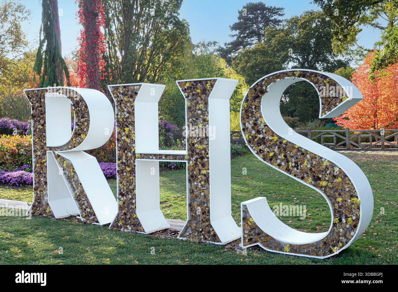 RHS Wisley Gardens Sculpture Sign Initialen „RHS“ mit eingebetteten Herbstblumen auf sonnendurchfluteter Graswiese mit Herbstfarbe hinter Surrey UK Stockfoto