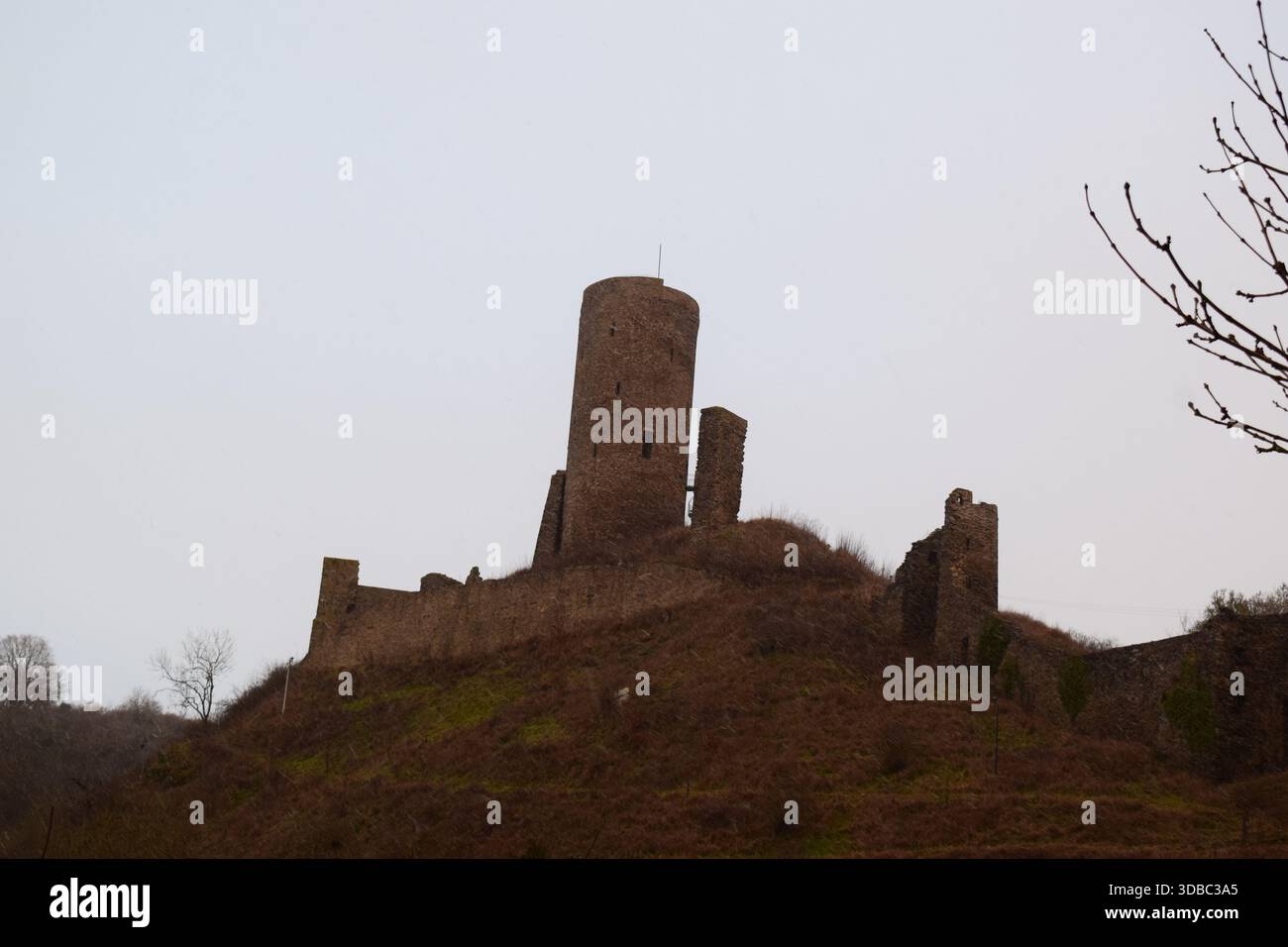 Löwenburg oberhalb Monreal im Winter Stockfoto