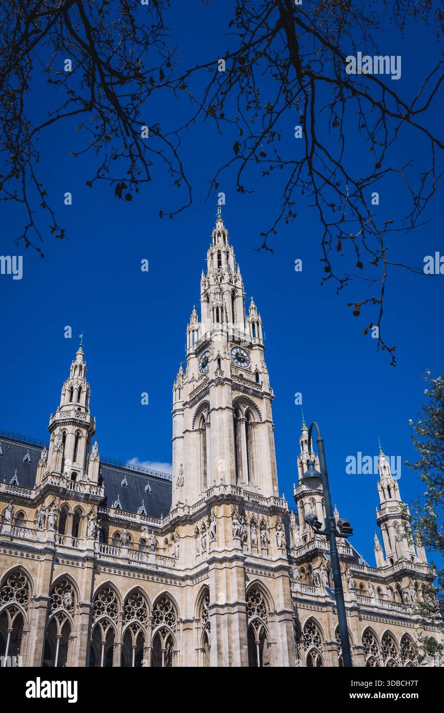 Blick vom Park auf einen Turm und Fassade des Wiener Rathauses in Wien, der Hauptstadt Österreichs Stockfoto