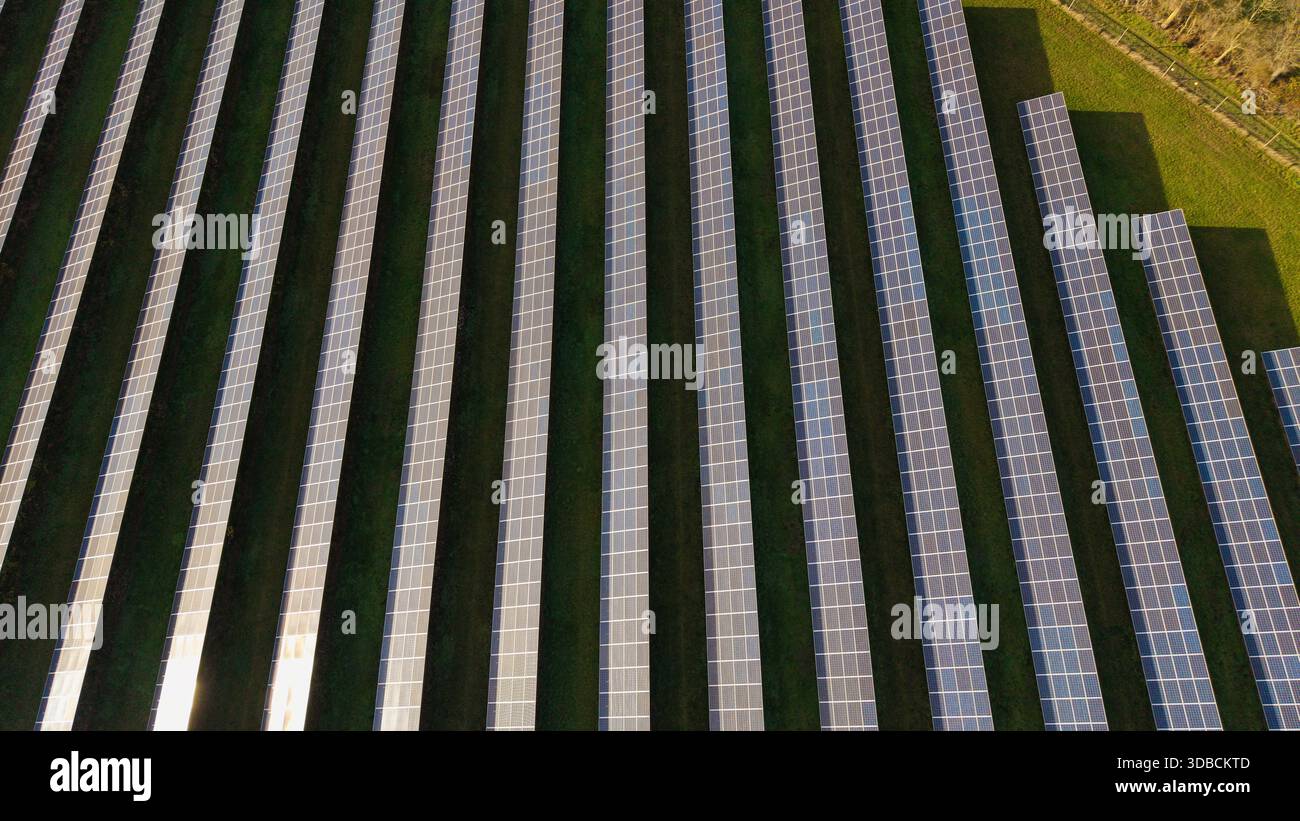 Drohnenfoto eines großen Solarparks in Cressing, Essex, Großbritannien an einem sonnigen Tag, mit Photovoltaik-Panels und erneuerbarer Energieerzeugung. Stockfoto