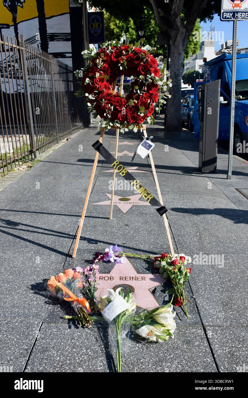 Los Angeles, USA. Dezember 2025. Eine florale Hommage der Handelskammer von Hollywood liegt am 15. Dezember 2025 auf Rob reiner’ Star auf dem Hollywood Walk of Fame in Los Angeles und würdigt den verstorbenen Filmemacher und Schauspieler nach seinem Tod im Alter von 78 Jahren. Reiner, bekannt für seine Arbeit als Regisseur von Klassikern wie When Harry Met Sally…, das ist Spinal Tap und die Prinzessin Bride, und als „Meathead“ auf All in the Family, starb zusammen mit seiner Frau Michele in einem offensichtlichen Mord, was zu Tribut und Gedenkstätten in ganz Hollywood führte. Quelle: Sharon Graphics/Alamy Live News Stockfoto