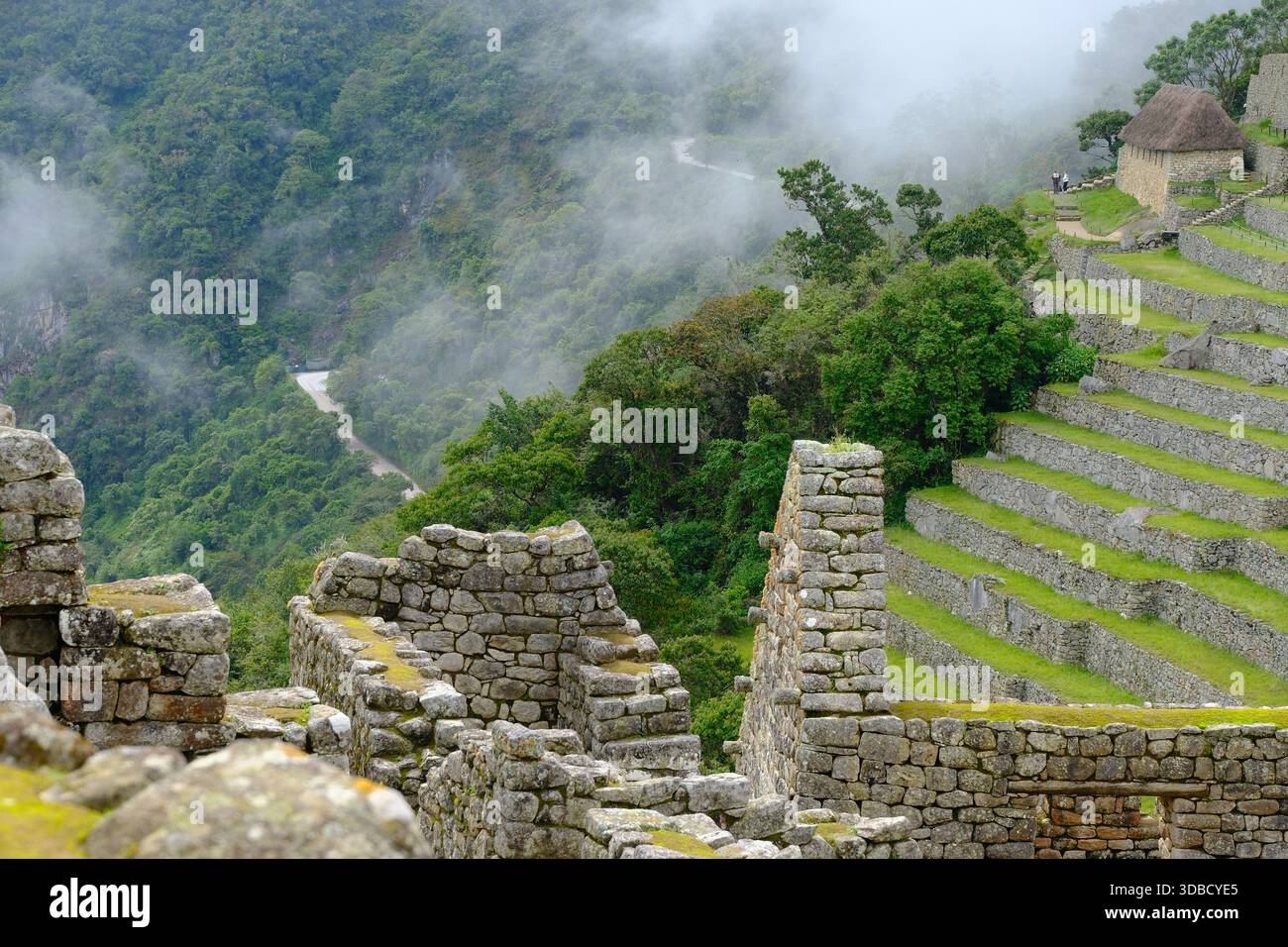 Terrassen und Steinruinen von Machu Picchu, die durch Morgennebel in den Anden von Peru auftauchen Stockfoto