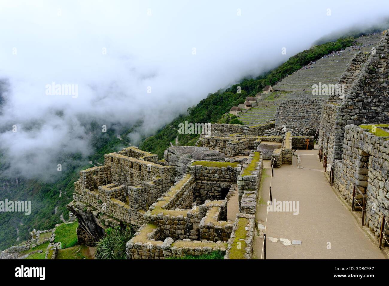 Steinruinen und landwirtschaftliche Terrassen von Machu Picchu, die sich über dem Nebelwald in den peruanischen Anden erheben Stockfoto