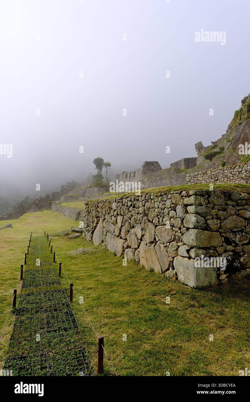 Steinterrassen und Ruinen von Machu Picchu, die durch den Nebel am frühen Morgen in den peruanischen Anden auftauchen Stockfoto