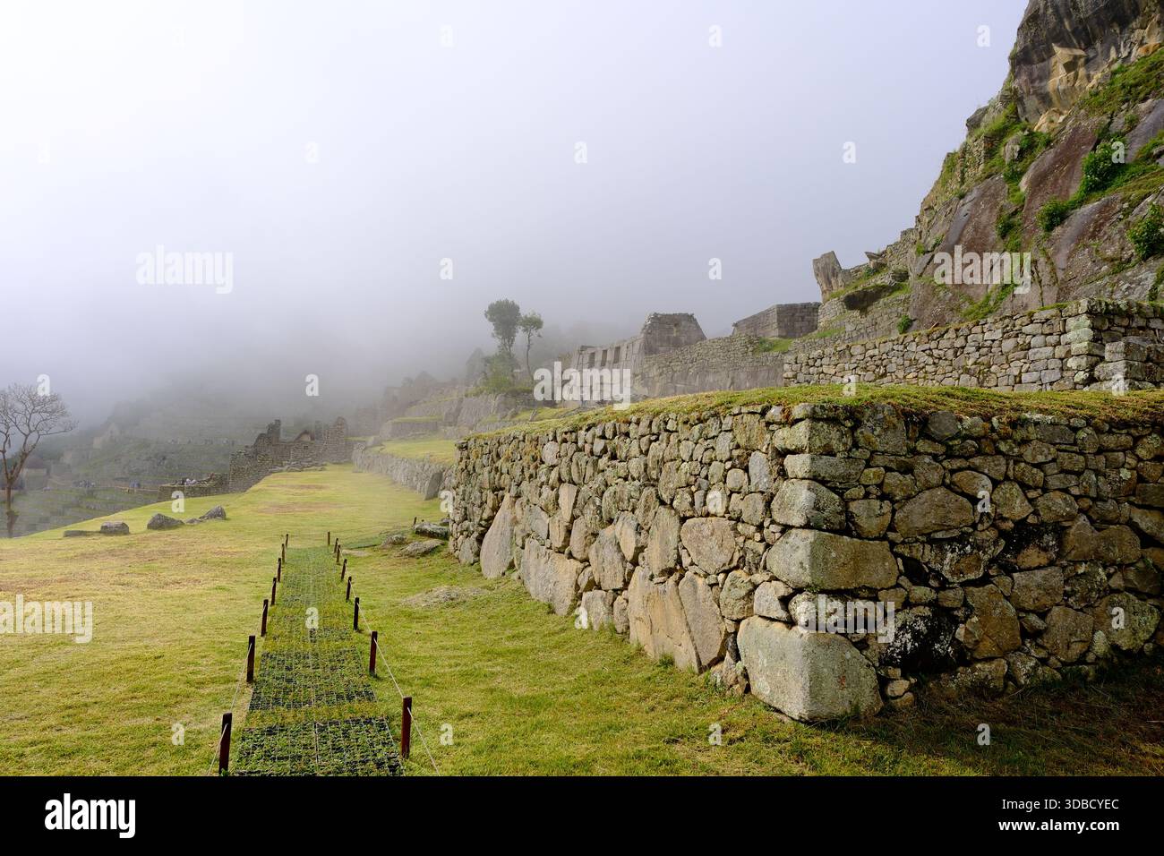 Steinterrassen und Ruinen von Machu Picchu, die durch den Nebel am frühen Morgen in den peruanischen Anden auftauchen Stockfoto