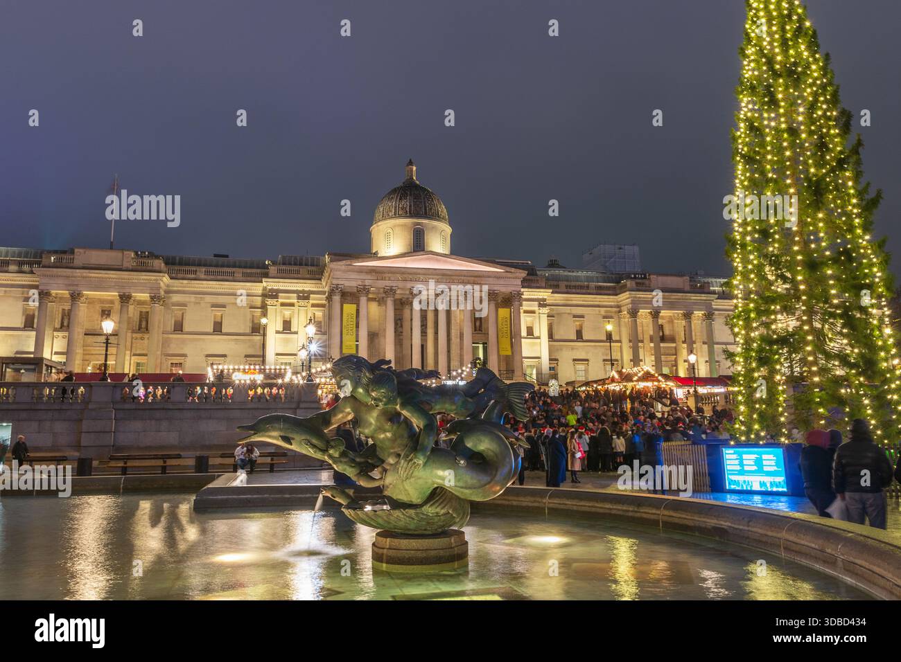 Trafalgar Square bei Weihnachten mit dem nordischen Weihnachtsbaum und den weihnachtsliedern in der Nacht, Abenddämmerung, London, England. Nachtaufnahmen. Weihnachtsszenen. Stockfoto