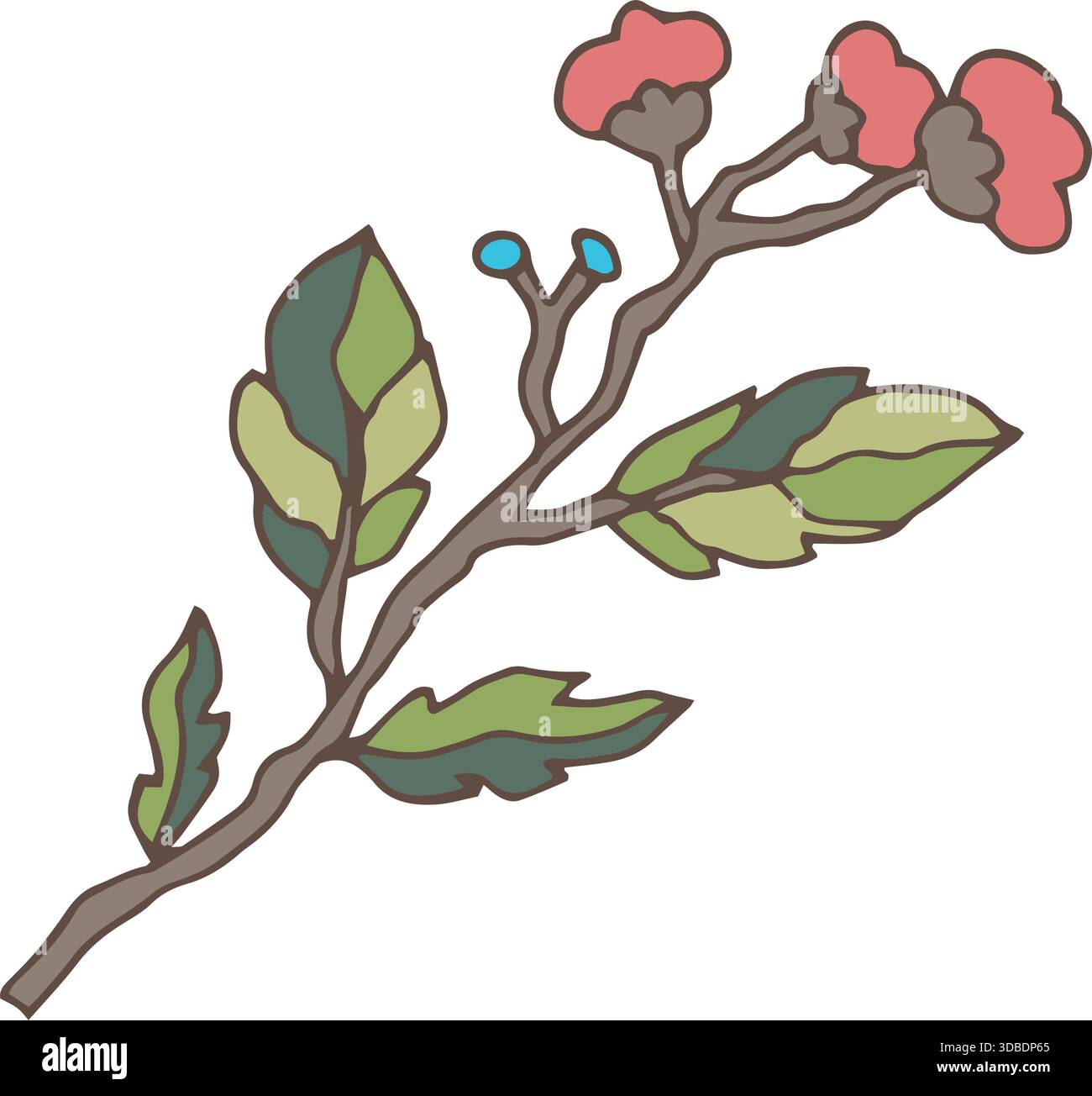 Frühlingsblumen Clipart Set Vektor-Kollektion Stock Vektor