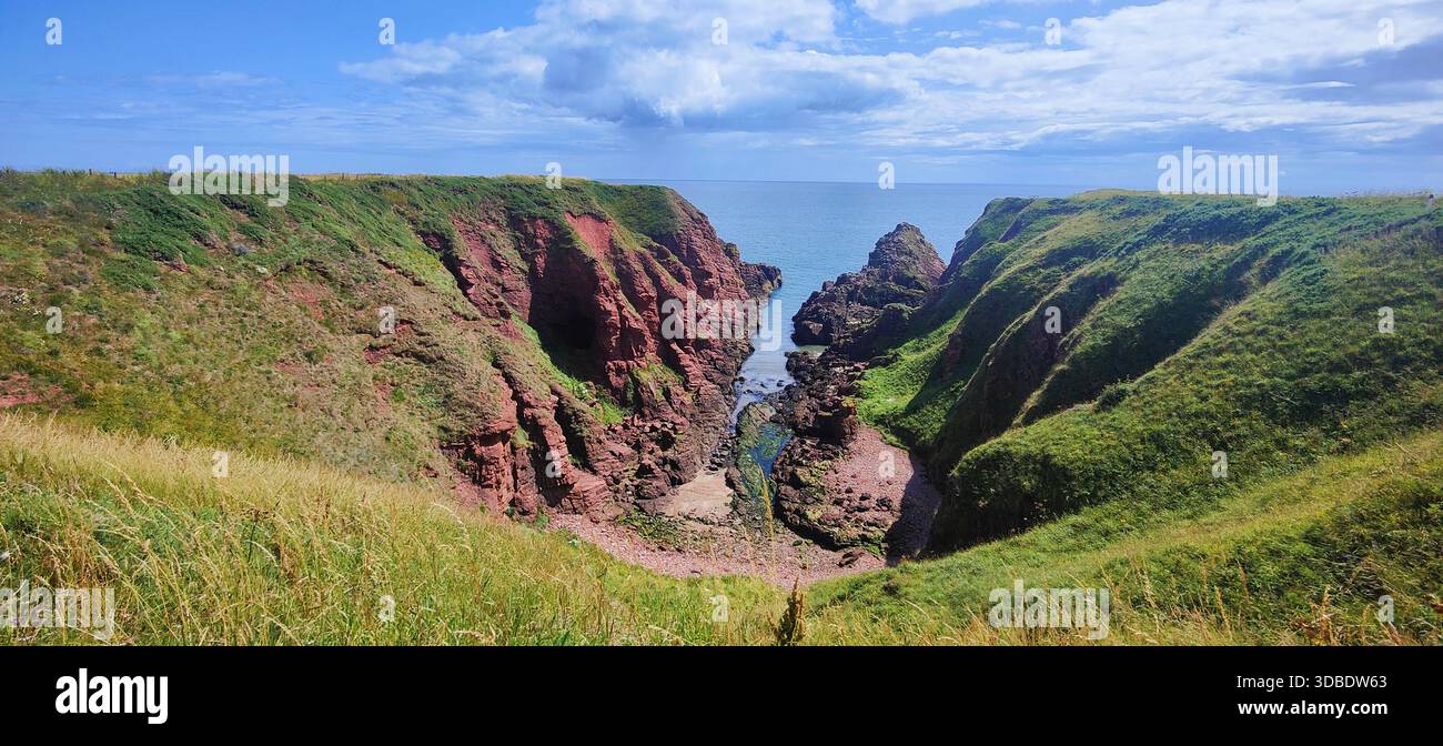 Ein dramatischer Blick auf das blaue Wasser der Nordsee von den Klippen von Arbroath, Schottland, im Kontrast zur lebhaften grünen Vegetation Stockfoto