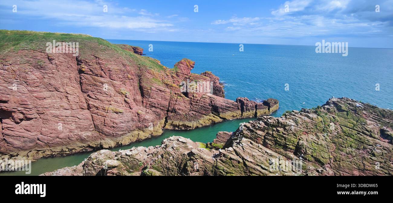 Ein dramatischer Blick auf das blaue Wasser der Nordsee von den Klippen von Arbroath, Schottland, im Kontrast zur lebhaften grünen Vegetation Stockfoto
