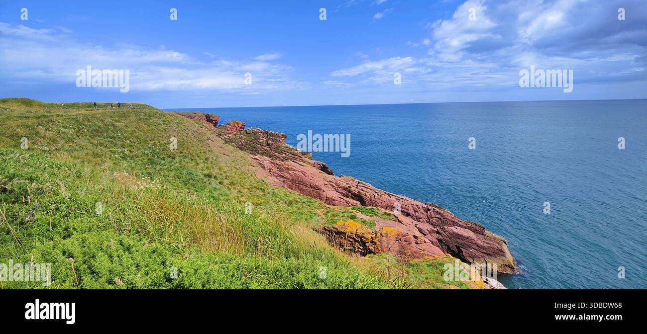 Ein dramatischer Blick auf das blaue Wasser der Nordsee von den Klippen von Arbroath, Schottland, im Kontrast zur lebhaften grünen Vegetation Stockfoto