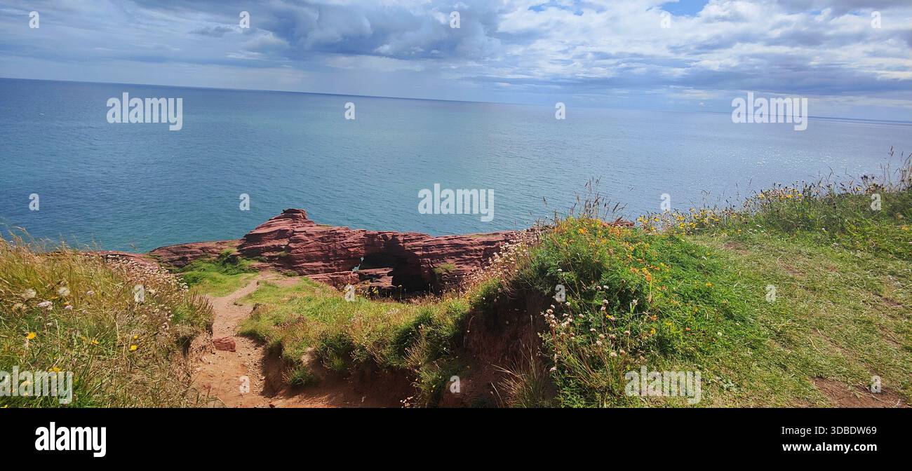 Ein dramatischer Blick auf das blaue Wasser der Nordsee von den Klippen von Arbroath, Schottland, im Kontrast zur lebhaften grünen Vegetation Stockfoto