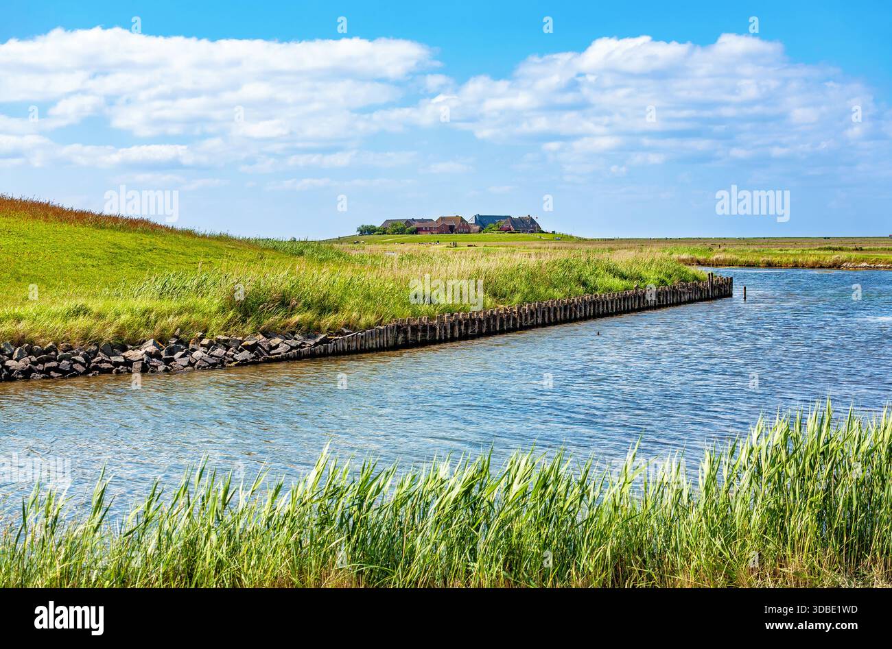 Hallig Hooge, Nordfriesland, Schleswig-Holstein, Deutschland, Europa. Hallig Hooge ist eine der kleinsten Inseln im Bezirk Nordfriesland Stockfoto
