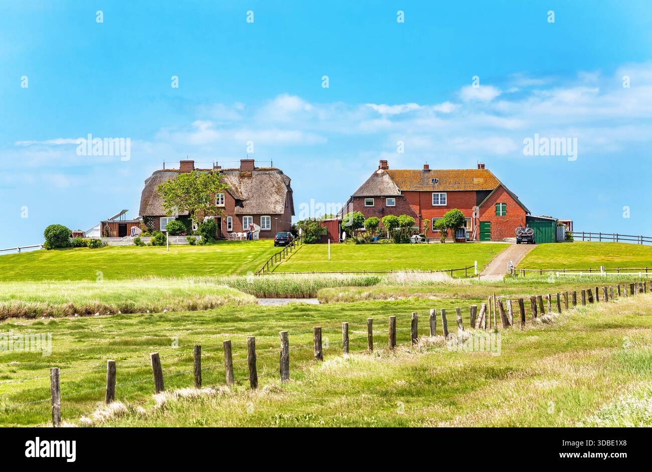 Hallig Hooge, Nordfriesland, Schleswig-Holstein, Deutschland, Europa. Hallig Hooge ist eine der kleinsten Inseln im Bezirk Nordfriesland Stockfoto