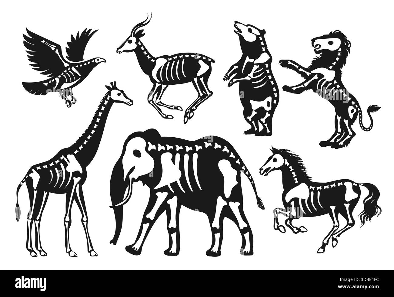 Tiere mit Skelett-Silhouetten. Wilde halloween-Fauna, Formen mit Knochen und Schädeln, mystische dekorative Anatomie, Skelettelefant, Bär und Giraffe Stock Vektor