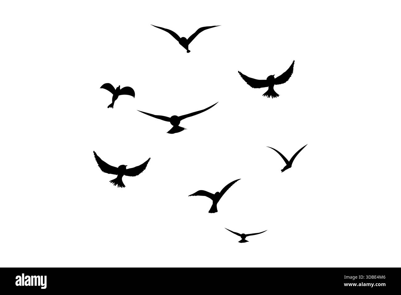 Fliegende Vogelschwärme Silhouette, einfache Schwalben im Flug, Krähen am Himmel. Gruppe von Vögeln Grenze. Vektorabbildung Stock Vektor
