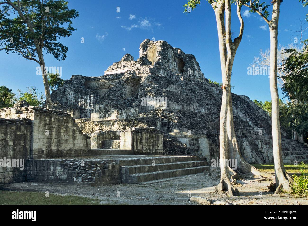 Edificio X, Maya-Ruinen, Rio Bec Fundplätze, Becan, Staat Campeche, Yucatan Halbinsel, Mexiko Stockfoto
