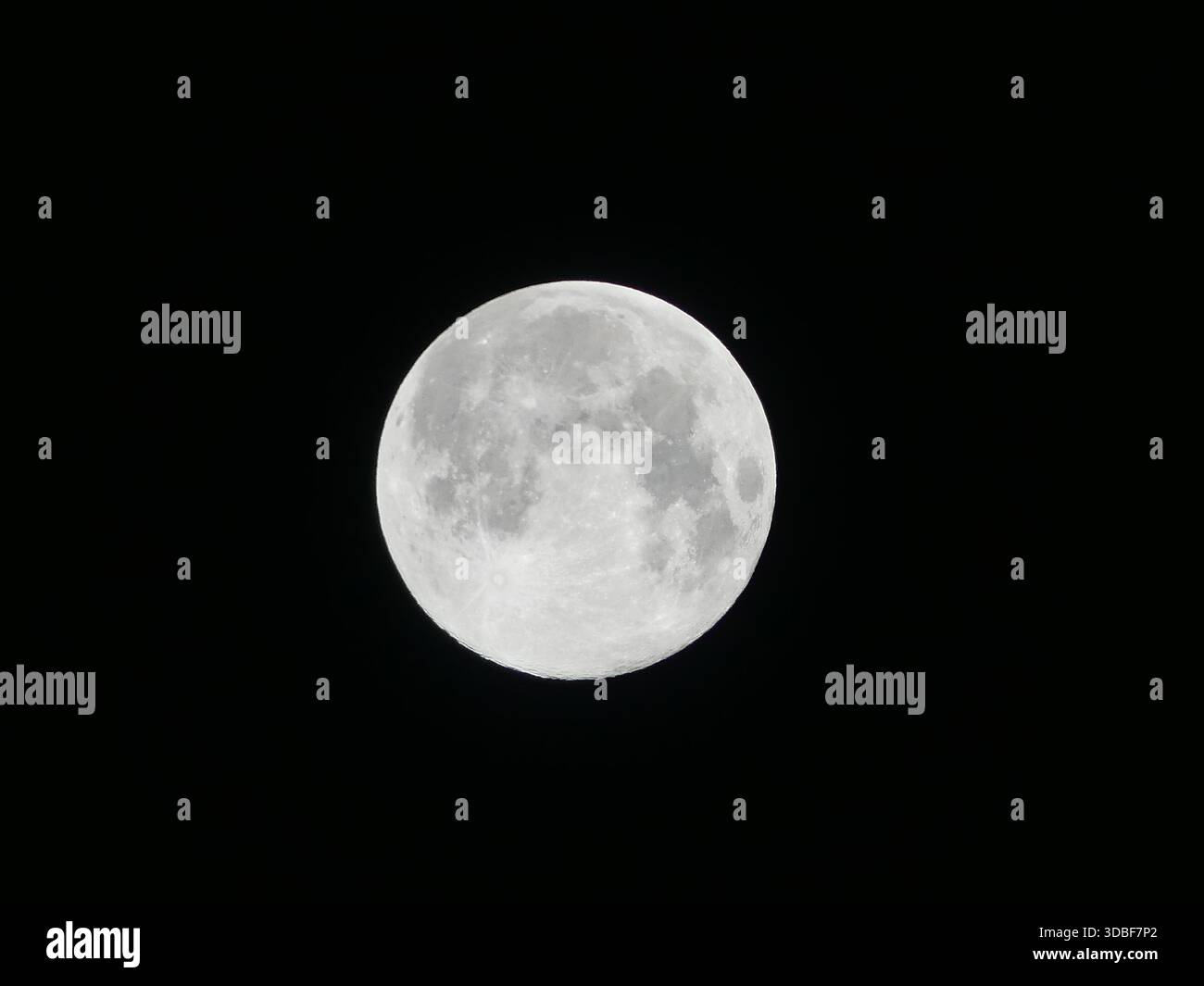 Ein klarer Nachthimmelblick auf einen leuchtenden Dezember-Vollmond, der detaillierte Mondkrater und Oberflächentopographie vor dunklem Hintergrund zeigt Stockfoto