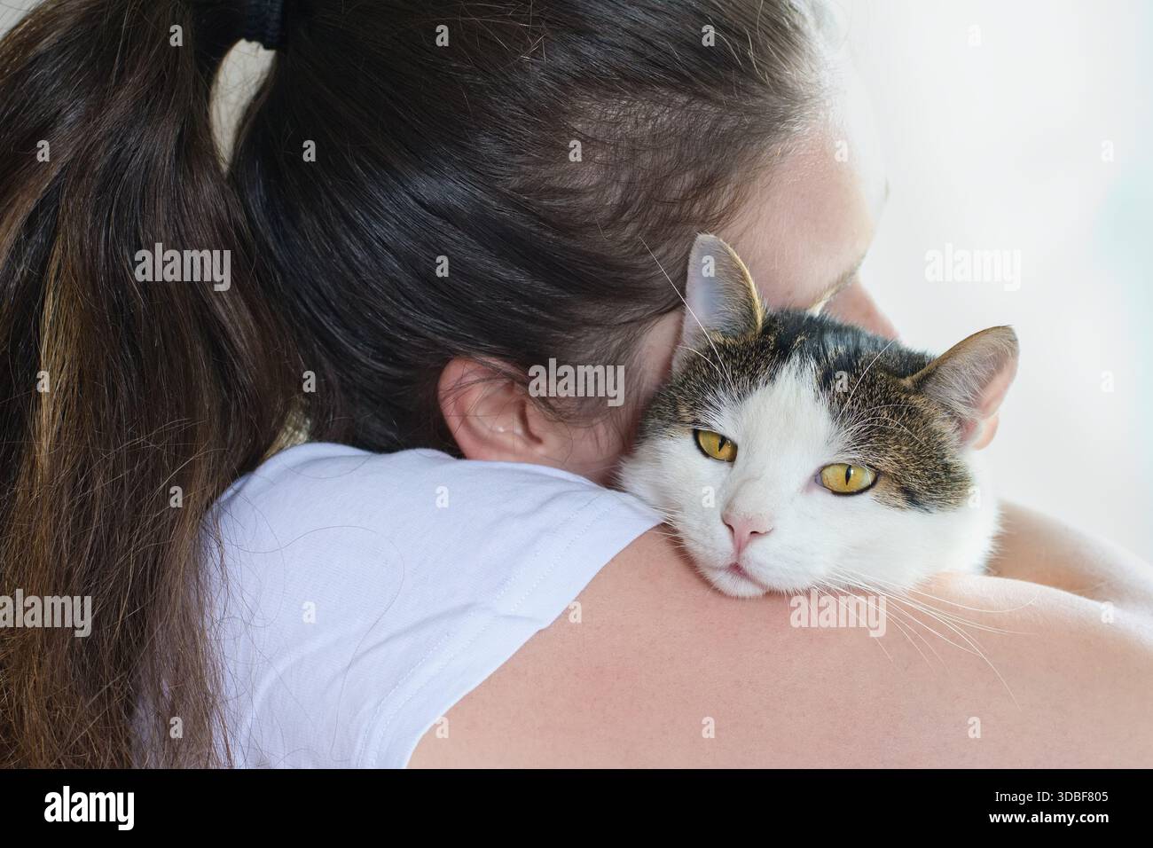 Frau streichelt die Katze zärtlich und hält sie in den Armen. Felinotherapie-Konzept. Stockfoto