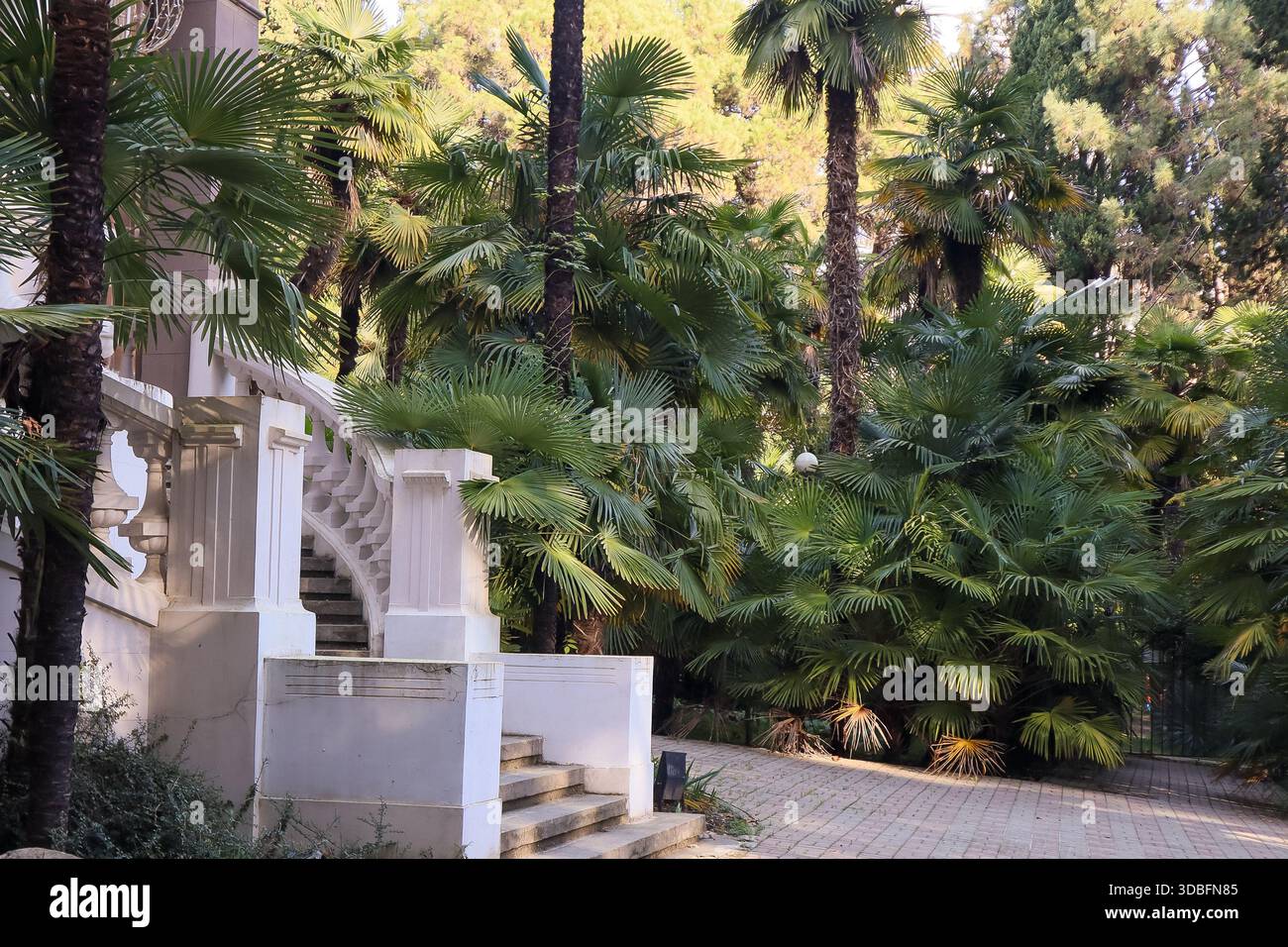 Anmutige geschwungene Steintreppen mit kunstvoll geformtem weißem Geländer, umgeben von dichtem tropischem Palmenlaub in einer mediterranen Außenvilla. Stockfoto