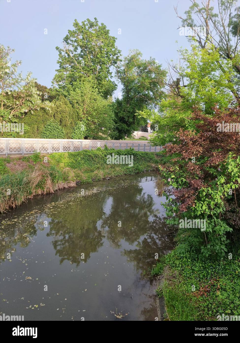 Kleine Holzbrücke über einen ruhigen Bach in einem grünen Park im Herbst. - Smartphone-aufgenommenes Stockfoto