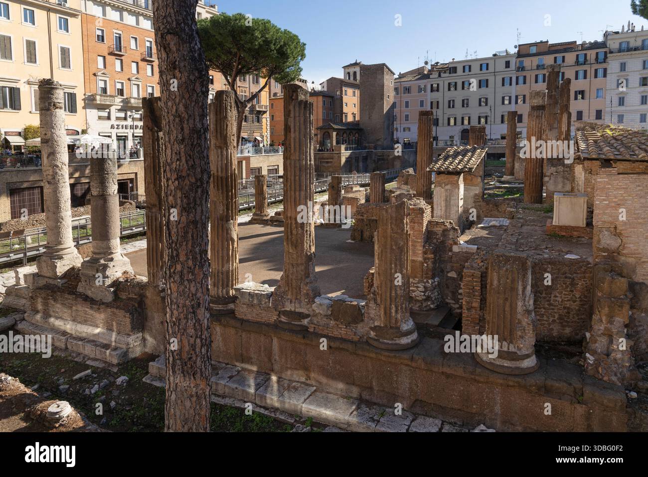 Ruinen von Curia di Pompeo in Largo di Torre Argentina, Ort der Ermordung von Julius Cäsar, in Rom, Italien Stockfoto