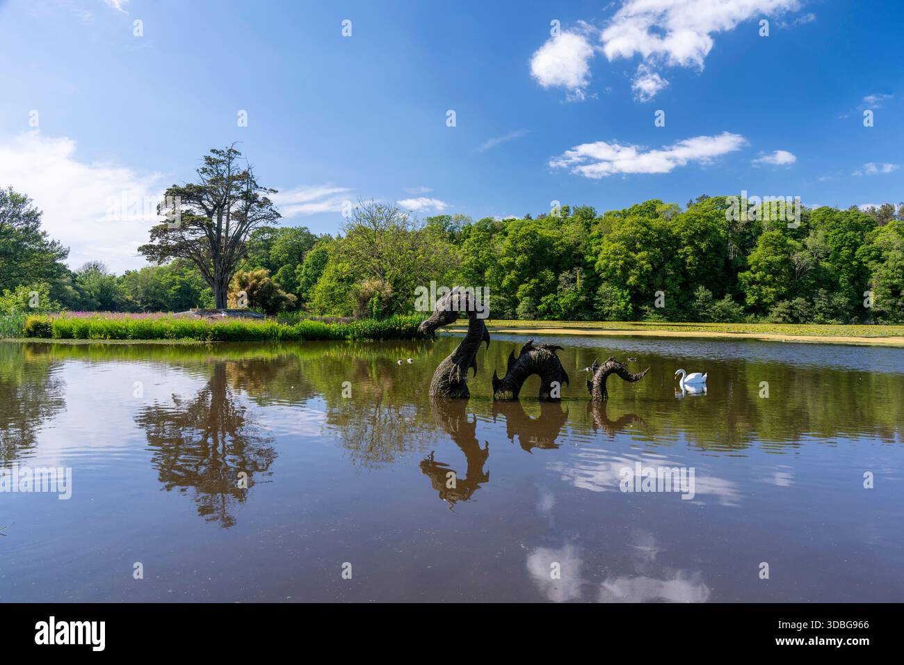 Ruhige Teichszene mit einem Schwan am Culzean Castle, reflektierenden Bäumen und blauem Himmel. Stockfoto
