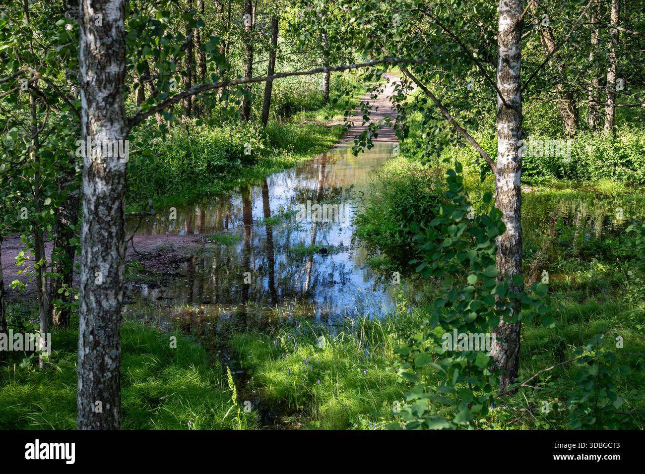Ramsaynranta-Pfad nach starkem Regen im Bezirk Munkkiniemi in Helsinki, Finnland Stockfoto