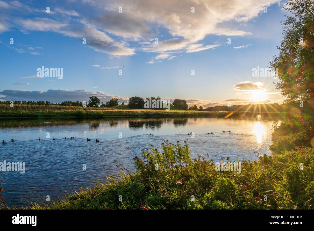 Sonnenuntergang über dem Kelso- und Tweed-Fluss mit Enten, die auf ruhigem Wasser und üppigen Ufern gleiten. Stockfoto