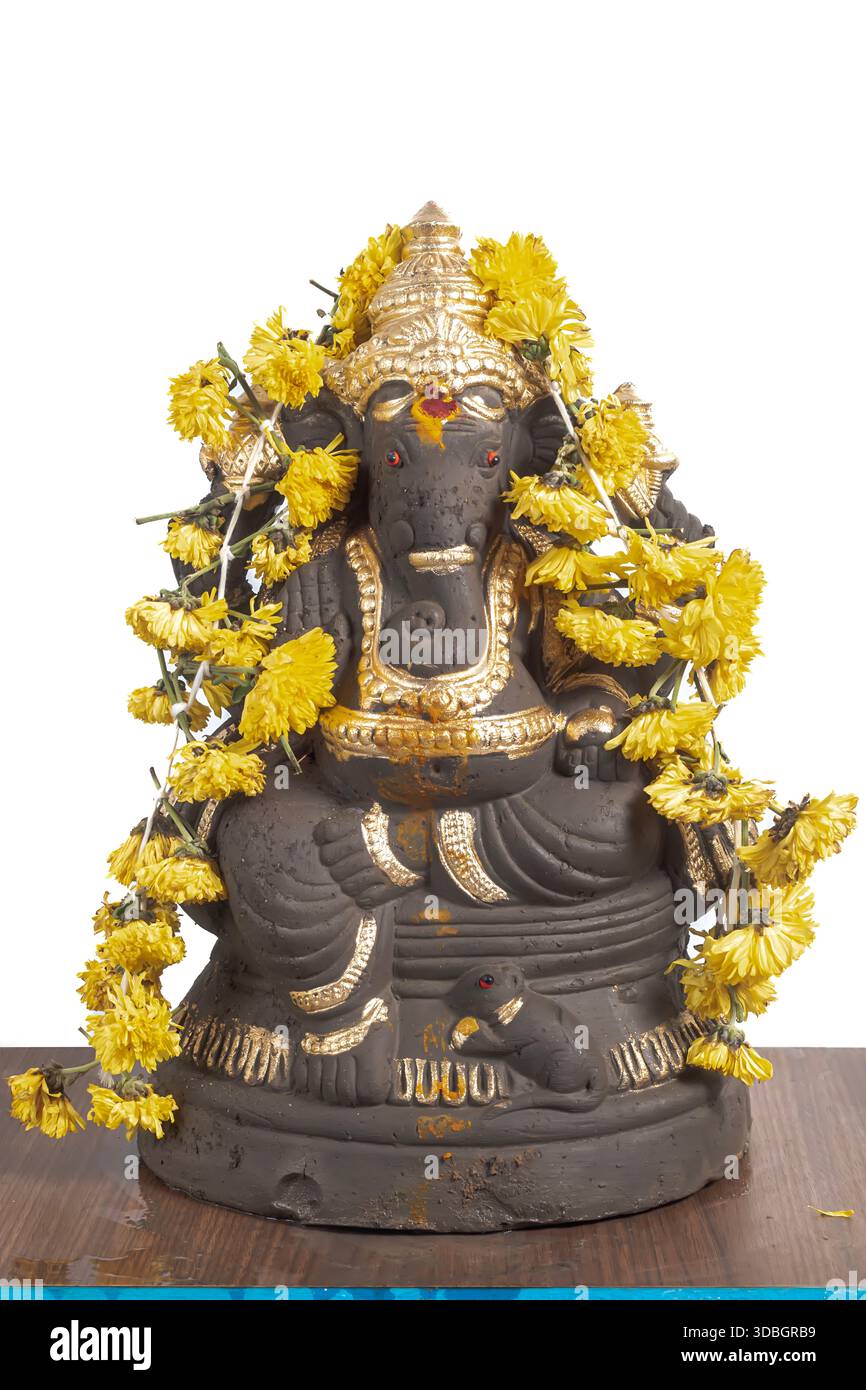 Dunkelgraue Ganesha-Statue mit goldenen Verzierungen, bedeckt mit einer hellgelben Ringelblumengirlande. Geeignet für hinduistische Rituale, Hausaltäre und Kultur Stockfoto