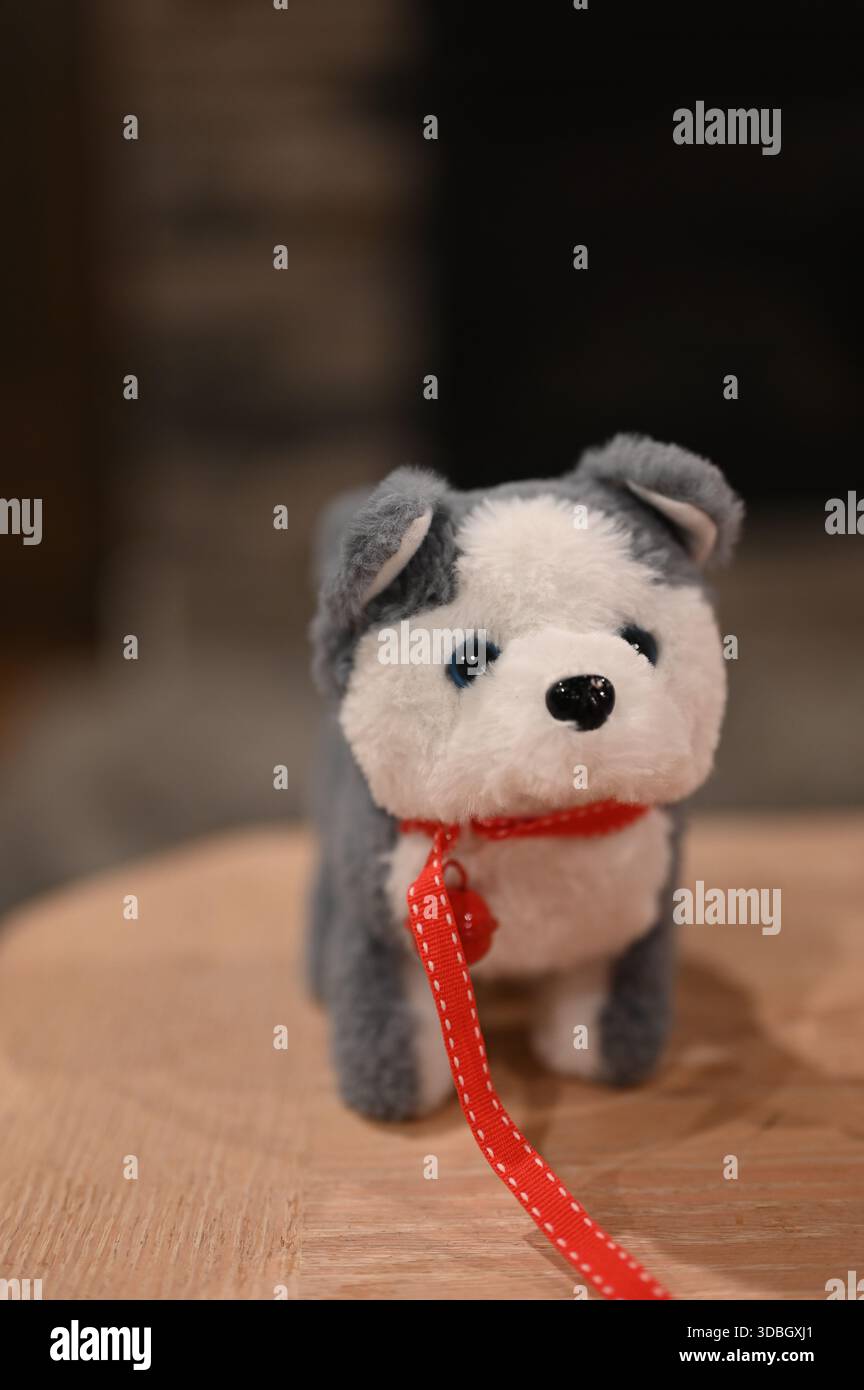 Ein kleiner Plüschhund mit grauem und weißem Pelz steht auf einer Holzoberfläche, trägt eine rote Leine und ein Schild. Geringe Schärfentiefe und warme Innenbeleuchtung. Stockfoto