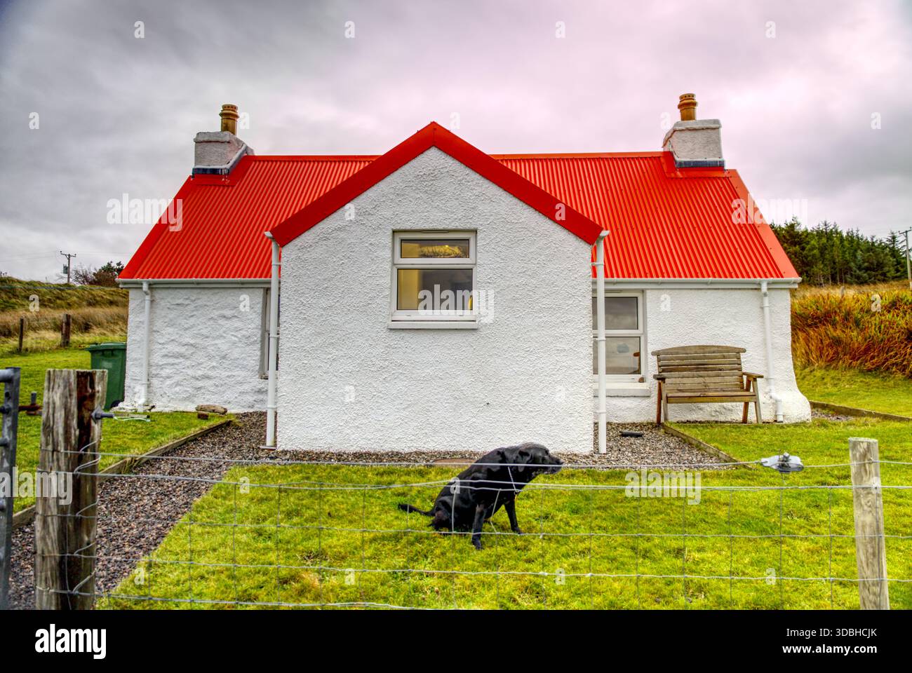 Schwarzer Labrador wartet vor einer weißen schottischen Bothy Stockfoto