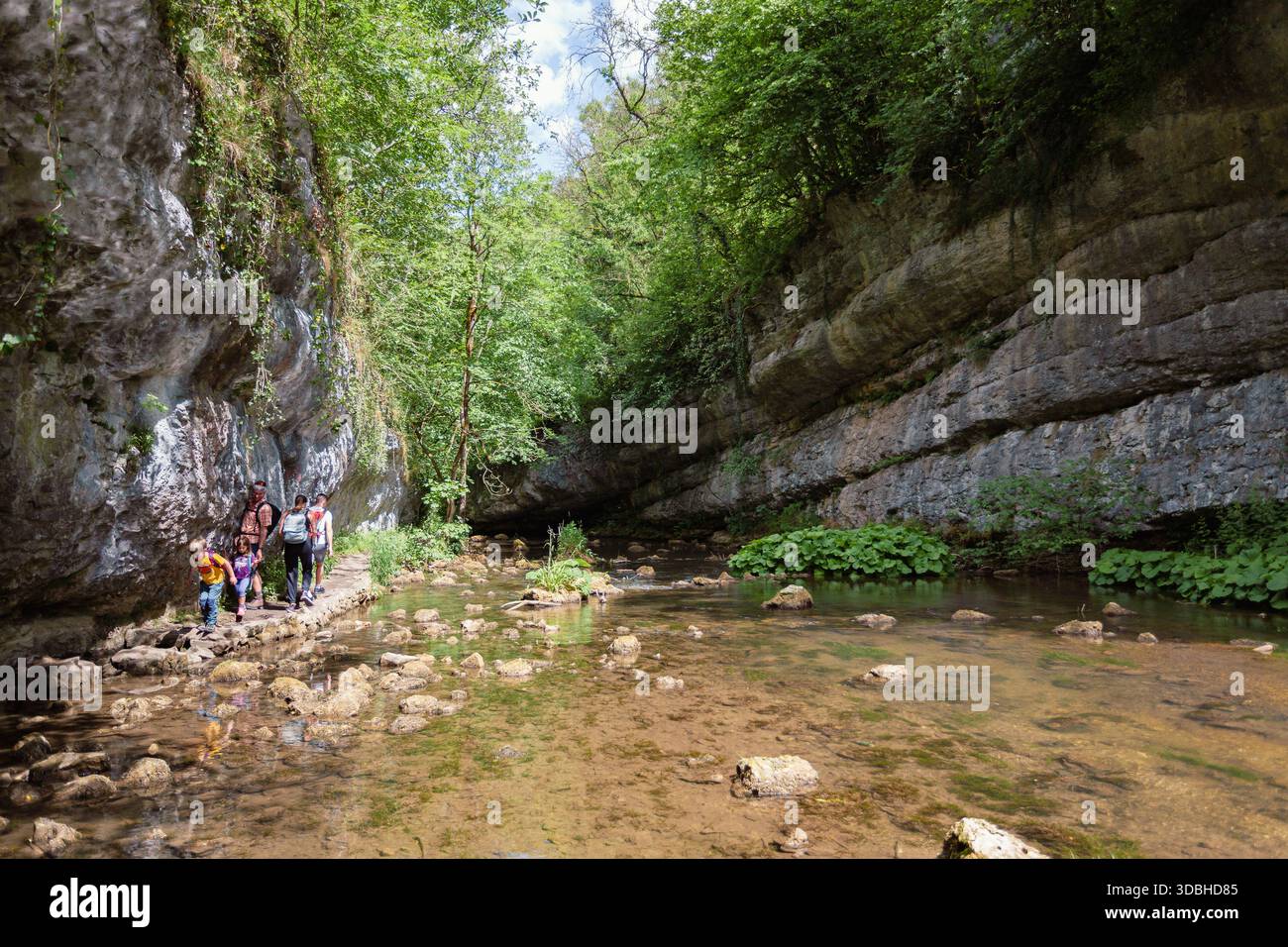 Spaziergänge entlang der Kalksteinschlucht der Cheedale Gorge im Peak District Stockfoto