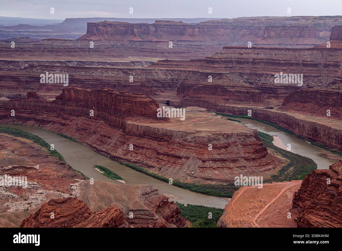 Blick auf einen sich windenden Fluss, der sich durch die trockenen Schluchten schlängelt, bemalt mit Erdrot und Braun unter gedämpftem Himmel, Moab, Utah, USA. Stockfoto