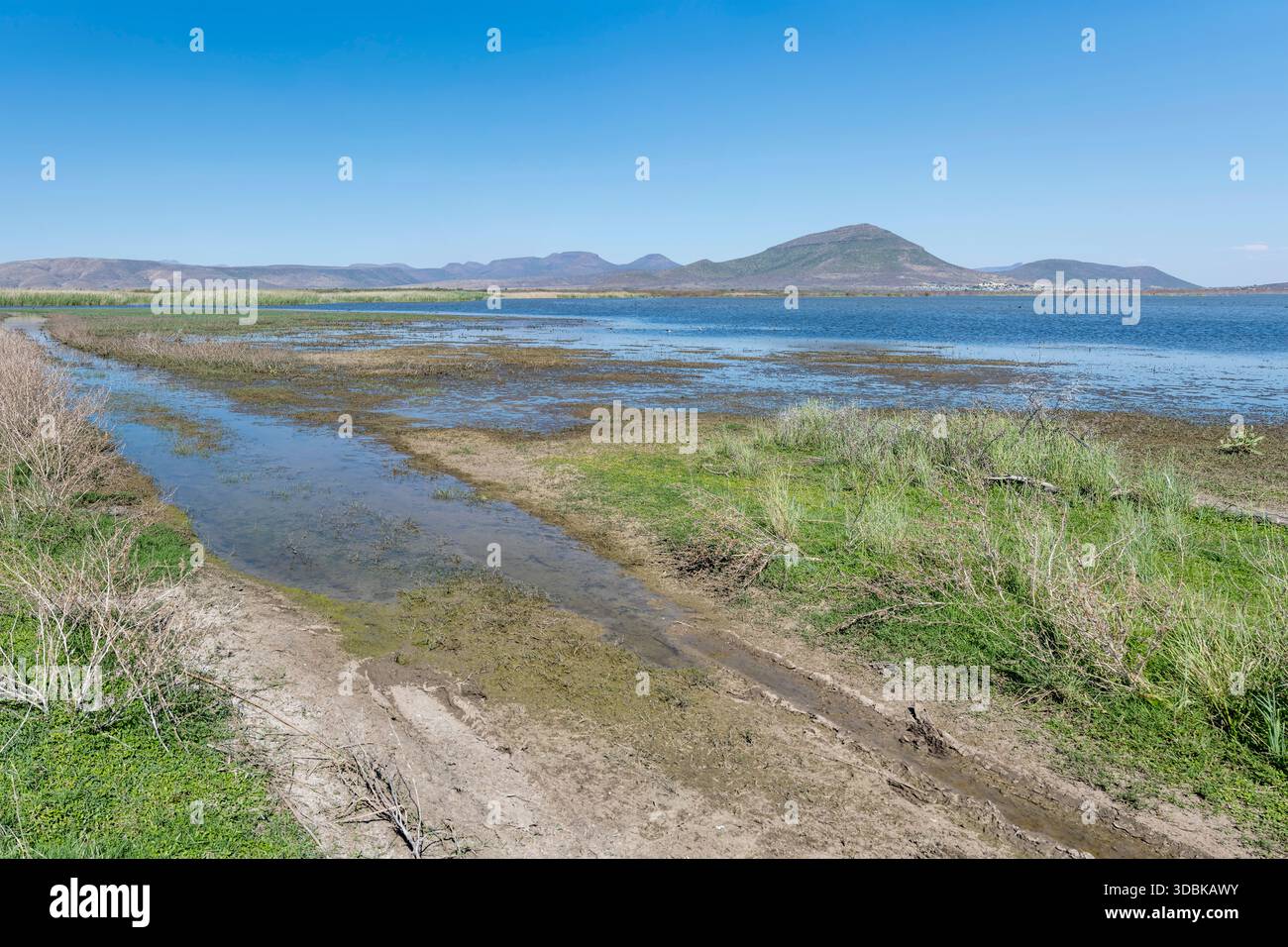 Landschaft mit Nqweba-Stausee, feuchtes Ufer, aufgenommen im hellen Licht des späten Frühlings in der Nähe von Graaff-Reinet, Eastern Cape, Südafrika Stockfoto
