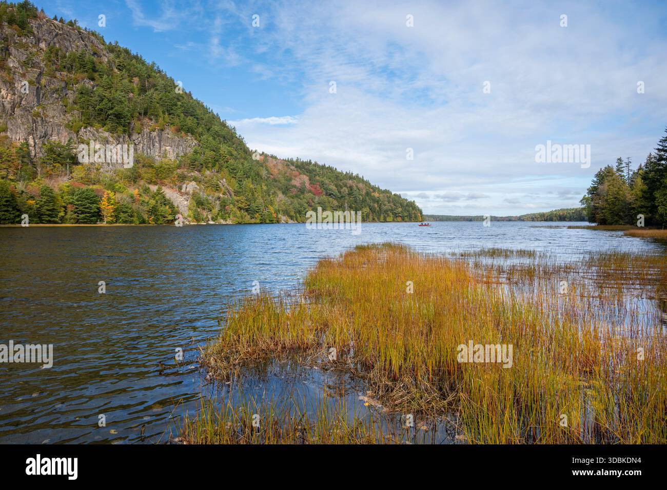 Echo Lake, Acadia National Park, Maine Stockfoto