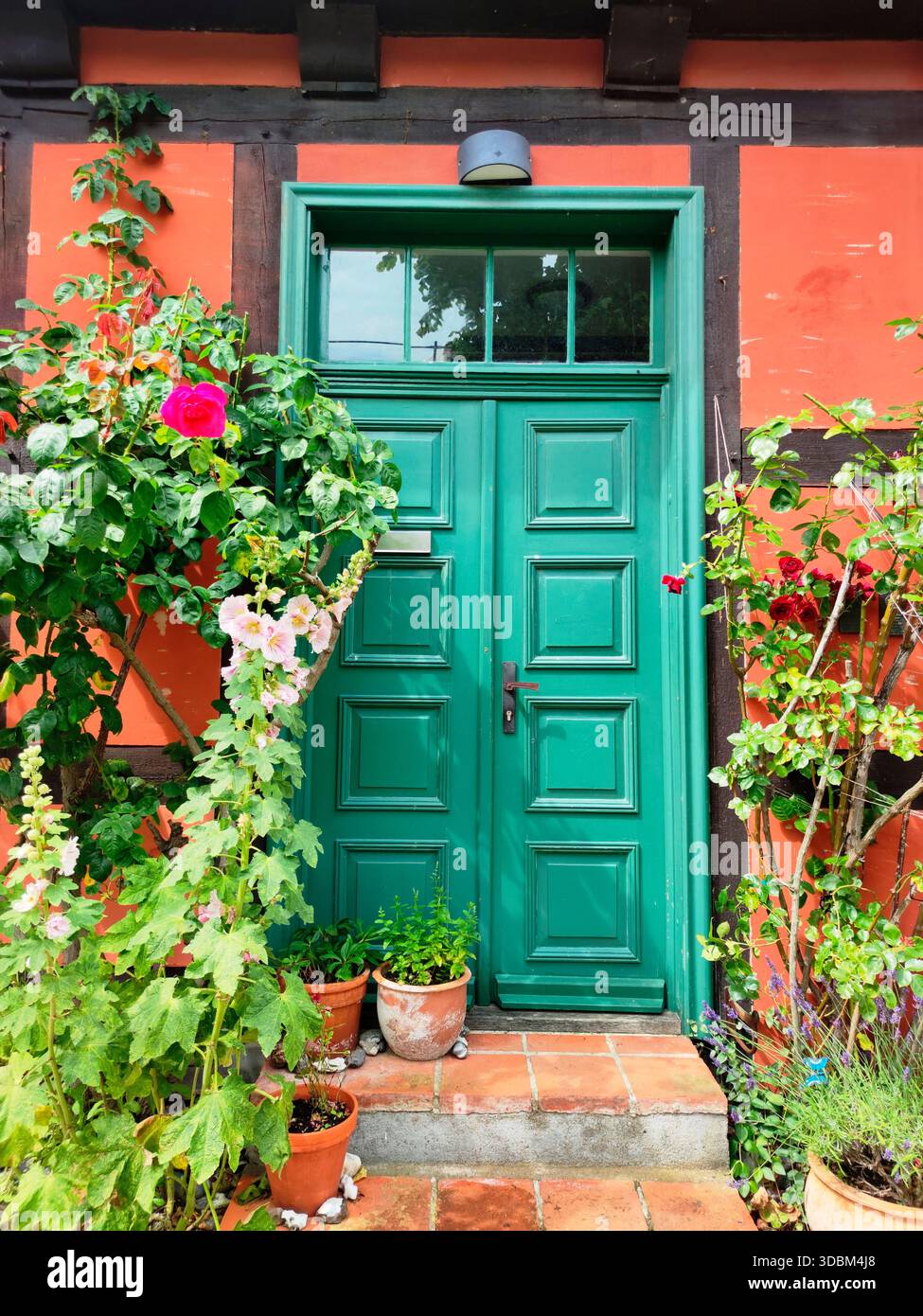 Grüne Vordertür Stockfoto